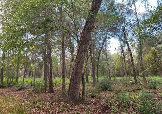 2nd image of 27055 Sandy Creek, Magnolia, TX 77355 | MLS# 10466939