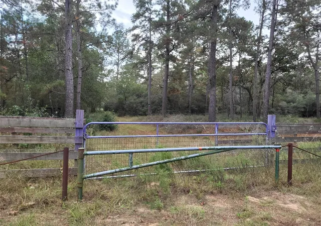3rd image of 27055 Sandy Creek, Magnolia, TX 77355 | MLS# 10466939