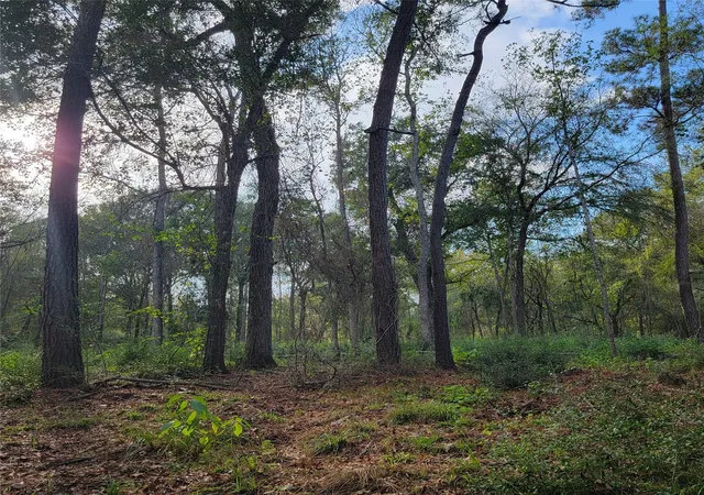 5th image of 27055 Sandy Creek, Magnolia, TX 77355 | MLS# 10466939