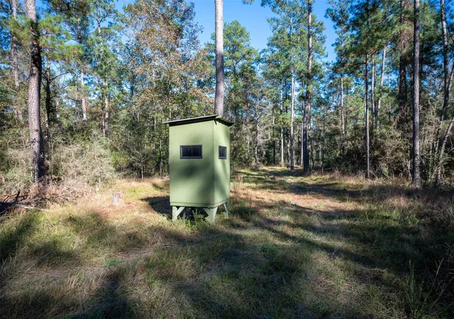 Photo 1 of Land for sale at 00 Farm To Market 1745, Chester, TX 75936 | MLS# 78541923 | Listing updated on 2026-08-24