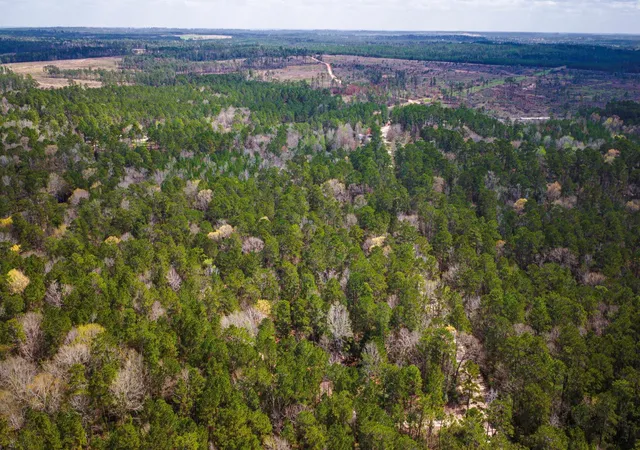 Photo 1 of Land for sale at Tbd Tract 5 Triple Crk Loop, Livingston, TX 77351 | MLS# 34187574 | Listing updated on 2026-03-11