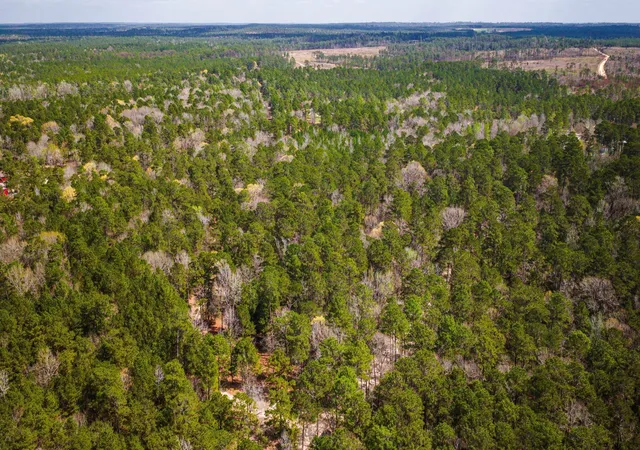 Photo 2 of Land for sale at Tbd Tract 5 Triple Crk Loop, Livingston, TX 77351 | MLS# 34187574 | Listing updated on 2026-03-11