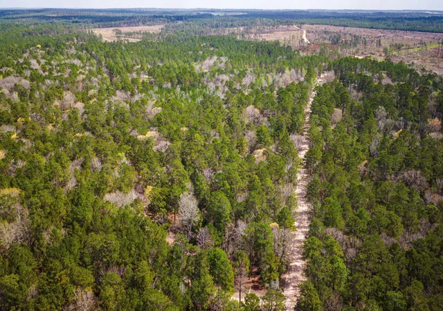 Photo 3 of Land for sale at Tbd Tract 5 Triple Crk Loop, Livingston, TX 77351 | MLS# 34187574 | Listing updated on 2026-03-11