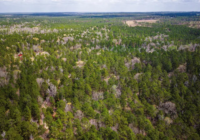 Photo 3 of Land for sale at Tbd Tract 5 Triple Crk Loop, Livingston, TX 77351 | MLS# 34187574 | Listing updated on 2026-03-11