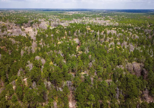 Photo 4 of Land for sale at Tbd Tract 5 Triple Crk Loop, Livingston, TX 77351 | MLS# 34187574 | Listing updated on 2026-03-11