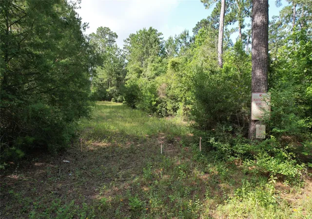 17th image of 0000 Cr 4020, Crockett, TX 75835 | MLS# 56558086