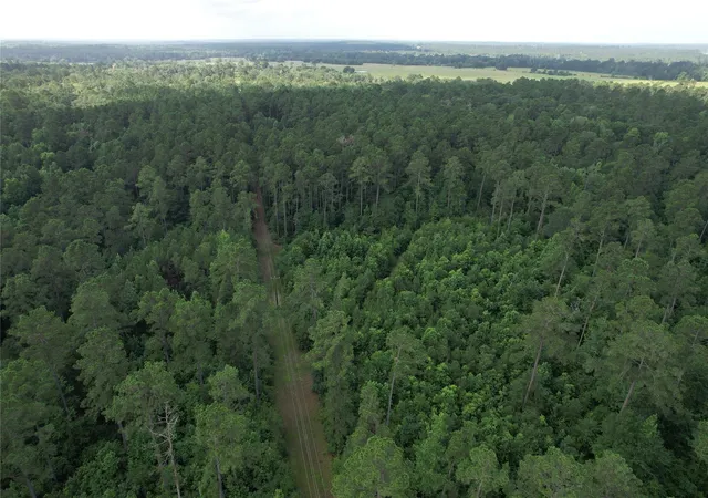 1st image of 0000 Cr 4020, Crockett, TX 75835 | MLS# 56558086