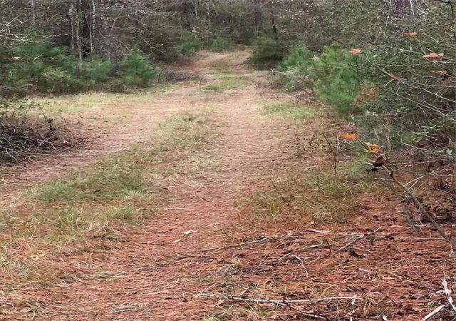 Photo 3 of Land for sale at 0000 Cr 4020, Crockett, TX 75835 | MLS# 56558086 | Listing updated on 2025-06-27
