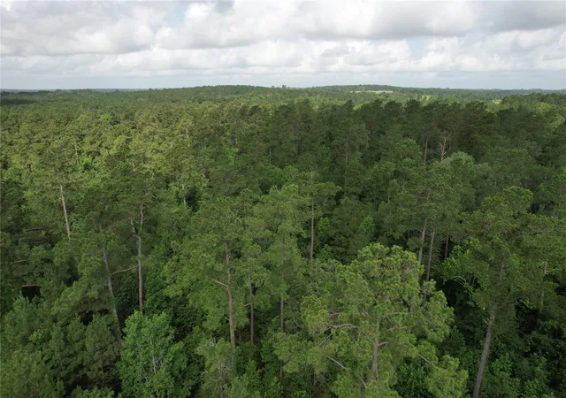 Photo 3 of Land for sale at 0000 Cr 4020, Crockett, TX 75835 | MLS# 56558086 | Listing updated on 2025-06-27