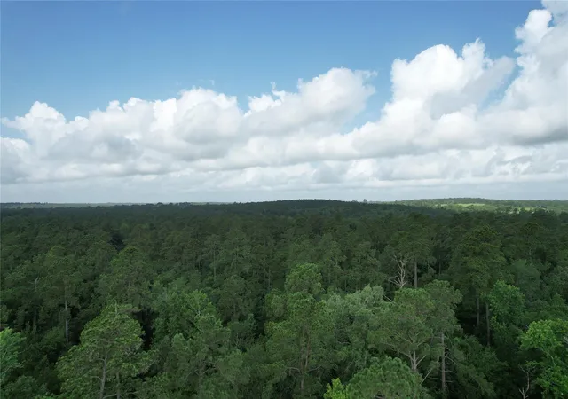 Photo 4 of Land for sale at 0000 Cr 4020, Crockett, TX 75835 | MLS# 56558086 | Listing updated on 2025-06-27