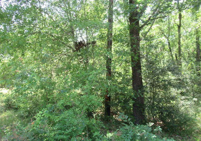 Photo 3 of Land for sale at 337 Noel, Livingston, TX 77351 | MLS# 12870698 | Listing updated on 2026-05-01