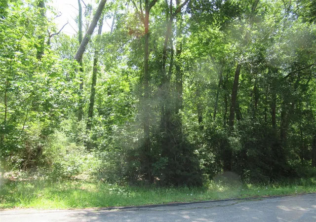 Photo 3 of Land for sale at 337 Noel, Livingston, TX 77351 | MLS# 12870698 | Listing updated on 2026-05-01