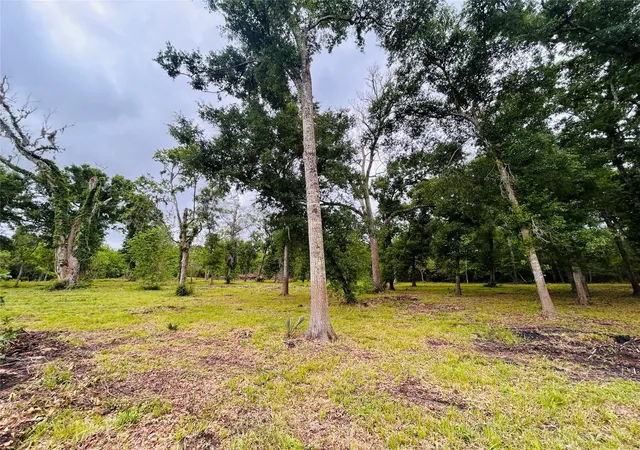 Photo 3 of Land for sale at 1214 Chuckwagon Ct, Angleton, TX 77515 | MLS# 40269807 | Listing updated on 2026-07-18