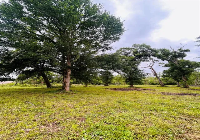 Photo 4 of Land for sale at 1214 Chuckwagon Ct, Angleton, TX 77515 | MLS# 40269807 | Listing updated on 2026-07-18