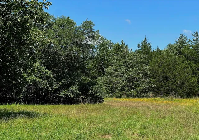 1st image of 15136 County Road 424, Somerville, TX 77879 | MLS# 10930716