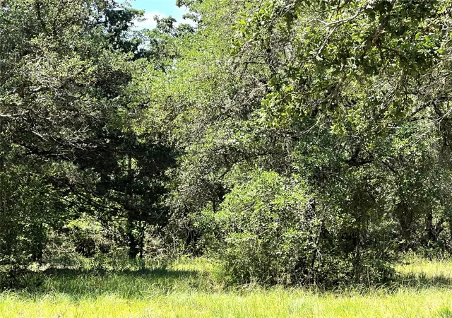 3rd image of 15136 County Road 424, Somerville, TX 77879 | MLS# 10930716