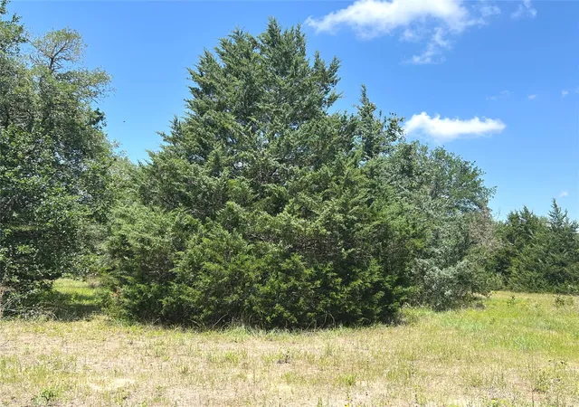 4th image of 15136 County Road 424, Somerville, TX 77879 | MLS# 10930716