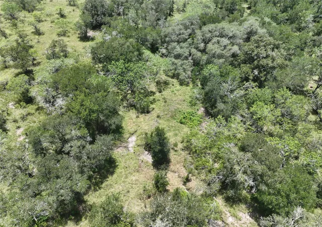 Homes for sale in Waelder, TX | Tbd County Road 420, Waelder, TX 78959 | MLS# 47310143