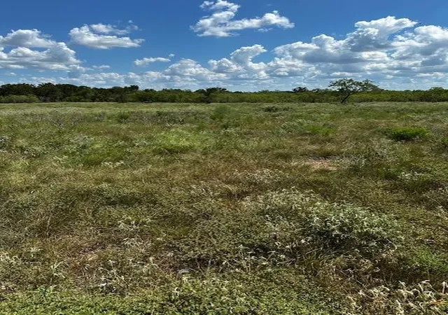 Homes for sale in Waelder, TX | Tbd County Road 420, Waelder, TX 78959 | MLS# 47310143