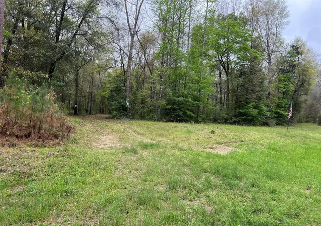 Photo 3 of Land for sale at Tbd Farm To Rd 943, Livingston, TX 77351 | MLS# 79094298 | Listing updated on 2026-07-30