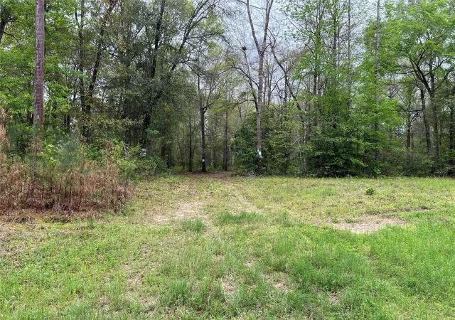 Photo 3 of Land for sale at Tbd Farm To Rd 943, Livingston, TX 77351 | MLS# 79094298 | Listing updated on 2026-07-30