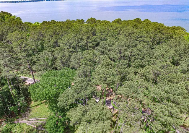 10th image of Tbd Grand Pine Rd, Livingston, TX 77351 | MLS# 93636118