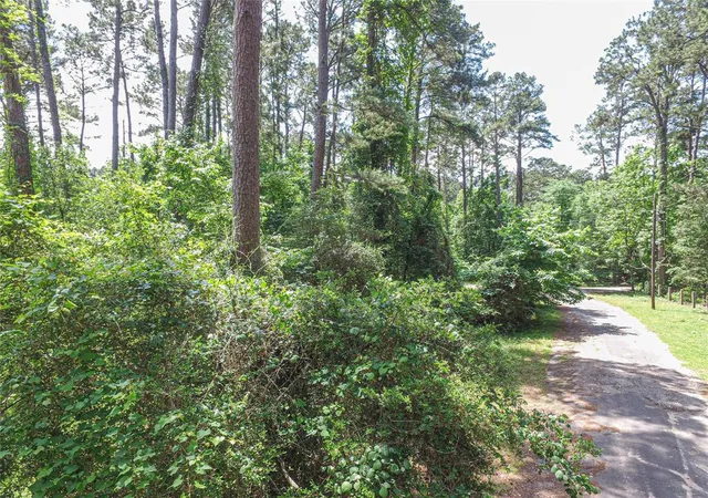 1st image of Tbd Grand Pine Rd, Livingston, TX 77351 | MLS# 93636118