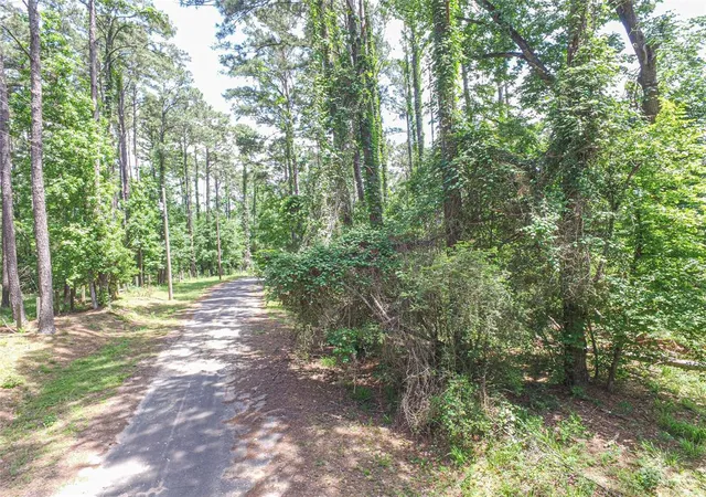 2nd image of Tbd Grand Pine Rd, Livingston, TX 77351 | MLS# 93636118