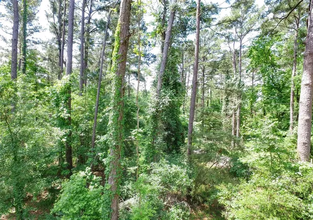 3rd image of Tbd Grand Pine Rd, Livingston, TX 77351 | MLS# 93636118