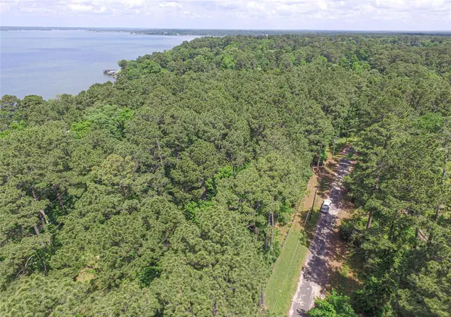 5th image of Tbd Grand Pine Rd, Livingston, TX 77351 | MLS# 93636118
