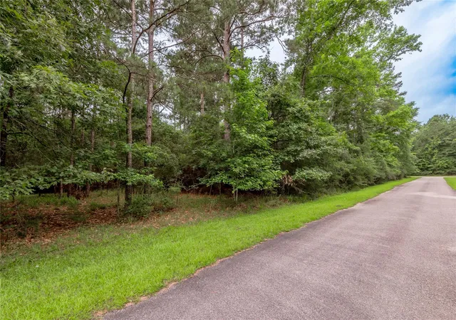 Photo 1 of Land for sale at Lot 04 Sweetgum Dr, Trinity, TX 75862 | MLS# 40381586 | Listing updated on 2026-06-27