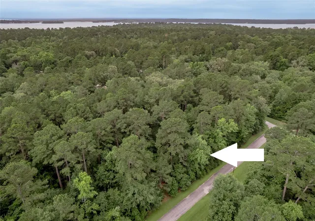 Photo 2 of Land for sale at Lot 04 Sweetgum Dr, Trinity, TX 75862 | MLS# 40381586 | Listing updated on 2026-06-27