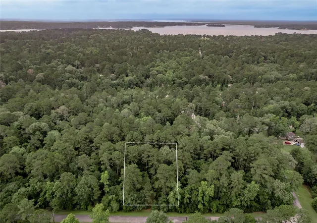 Photo 3 of Land for sale at Lot 04 Sweetgum Dr, Trinity, TX 75862 | MLS# 40381586 | Listing updated on 2026-06-27