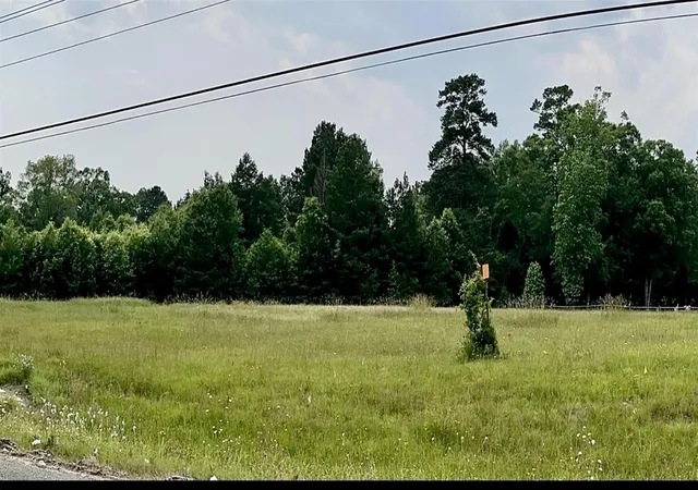 10th image of Tbd 59 Loop North Dr, Livingston, TX 77351 | MLS# 20807460