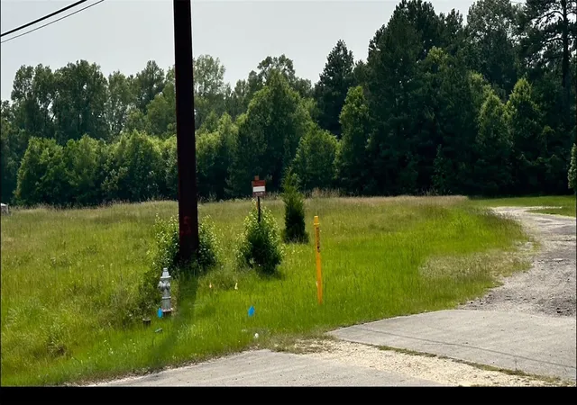4th image of Tbd 59 Loop North Dr, Livingston, TX 77351 | MLS# 20807460