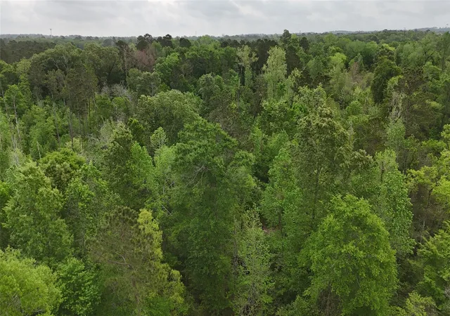 13th image of 59 Hwy 59 Loop Dr, Livingston, TX 77351 | MLS# 20172968