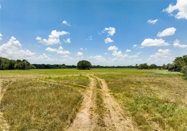 4th image of Tbd Fm 413, Kosse, TX 76653 | MLS# 30574834