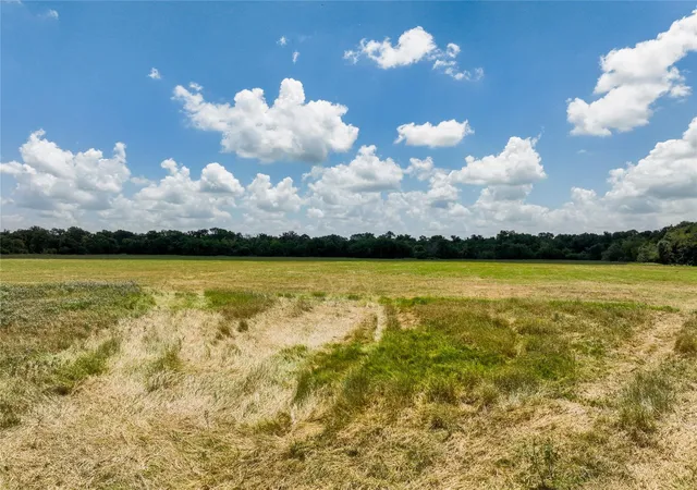 5th image of Tbd Fm 413, Kosse, TX 76653 | MLS# 30574834