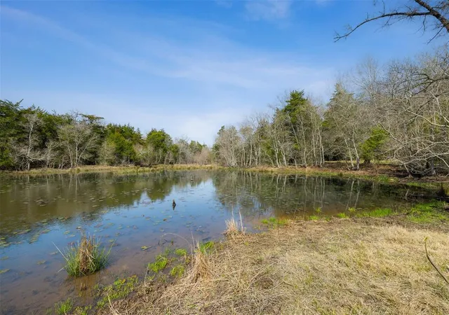 2nd image of 6804 County Road 126, Caldwell, TX 77836 | MLS# 94841095
