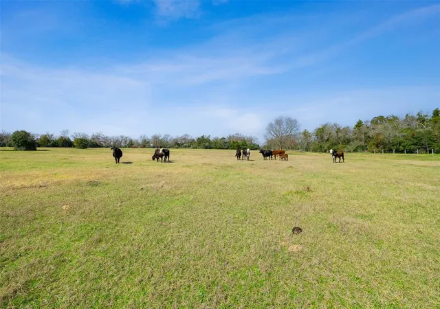 3rd image of 6804 County Road 126, Caldwell, TX 77836 | MLS# 94841095