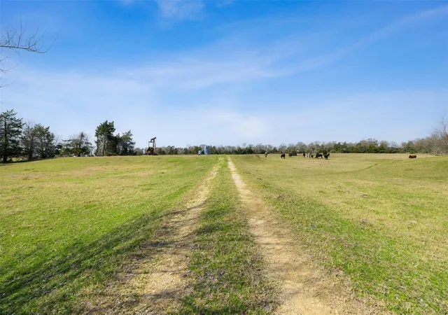 5th image of 6804 County Road 126, Caldwell, TX 77836 | MLS# 94841095