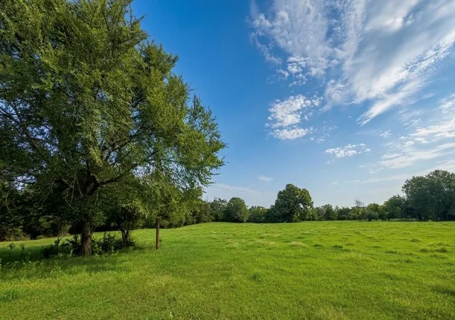 Photo 2 of Land for sale at 45ac Cr 223, Buffalo, TX 75831 | MLS# 2800736 | Listing updated on 2026-08-31