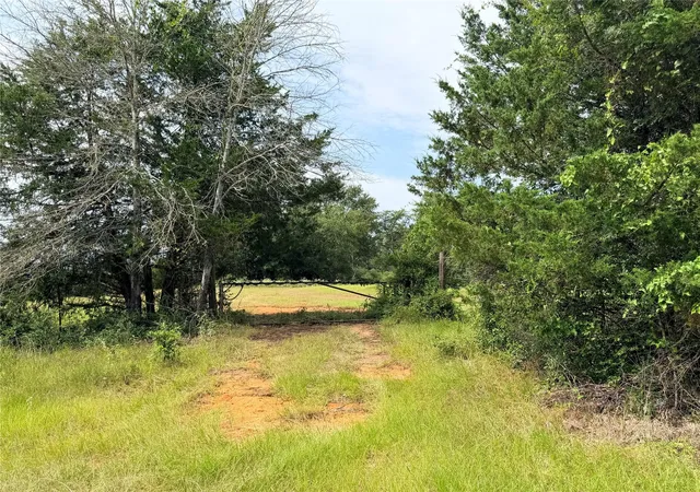 Photo 3 of Land for sale at 45ac Cr 223, Buffalo, TX 75831 | MLS# 2800736 | Listing updated on 2026-08-31