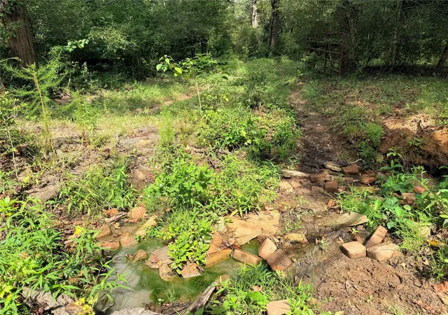Photo 4 of Land for sale at 45ac Cr 223, Buffalo, TX 75831 | MLS# 2800736 | Listing updated on 2026-08-31