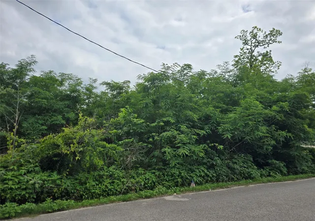 Land for sale at 0 Ave F Tbd, Conroe, TX 77301 | MLS# 74141157