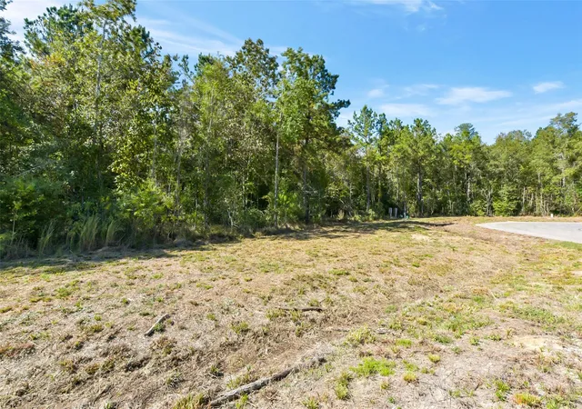 4th image of 1729 Road 66118, Dayton, TX 77535 | MLS# 75179563