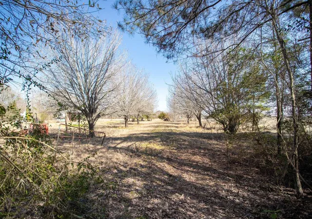 Homes for sale in Sour Lake, TX | 30808 Old Sour Lake Rd, Sour Lake, TX 77659 | MLS# 14717738