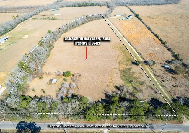 Homes for sale in Sour Lake, TX | 30808 Old Sour Lake Rd, Sour Lake, TX 77659 | MLS# 14717738