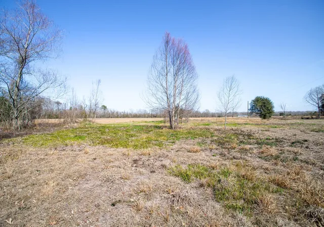 Homes for sale in Sour Lake, TX | 30808 Old Sour Lake Rd, Sour Lake, TX 77659 | MLS# 14717738
