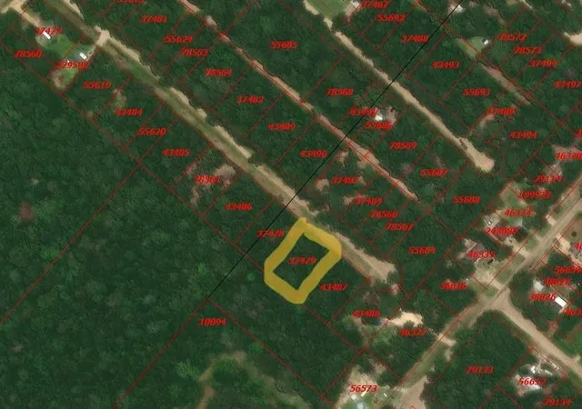 Photo 3 of Land for sale at Tbd Foyt Dr, Livingston, TX 77351 | MLS# 62178338 | Listing updated on 2026-06-29
